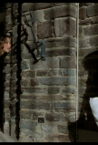 TB-00543.jpg